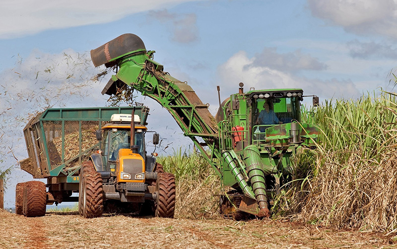 Brasil produz recorde de etanol na safra 2018/19