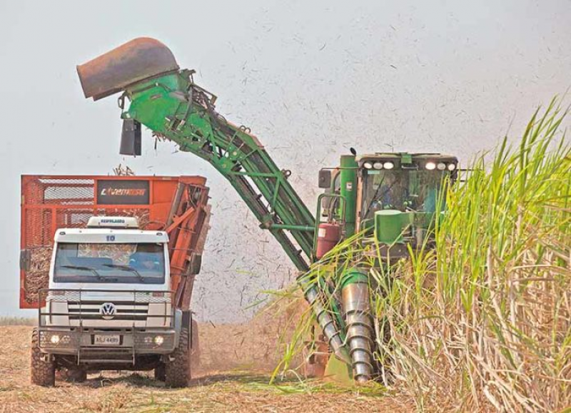 USINAS BRASILEIRAS DE AÇÚCAR E ETANOL DEVEM TER ANO DE RETOMADA