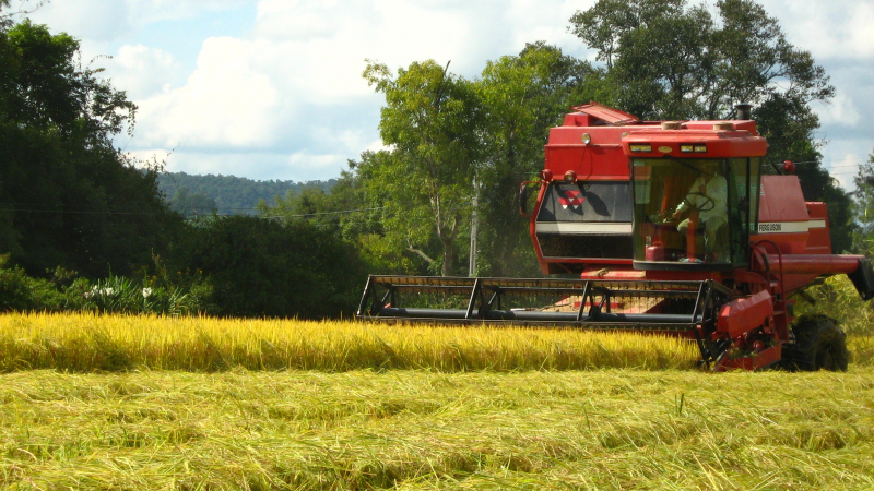 Exportações do agronegócio crescem 4% impulsionadas pelos embarques de açúcar