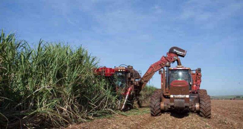 Cai produção de açúcar e etanol no centro-sul do país, diz Unica