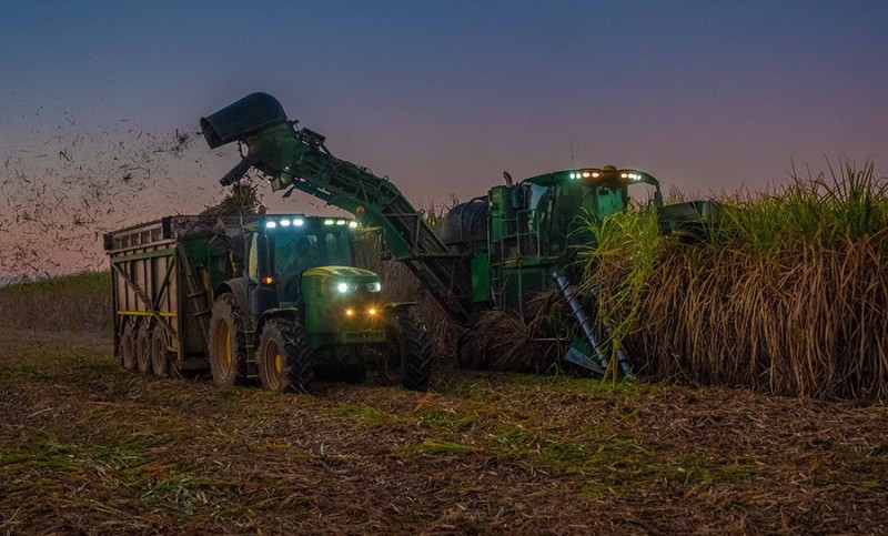 Conheça a pesquisa sobre fertilizantes para cana-de-açucar